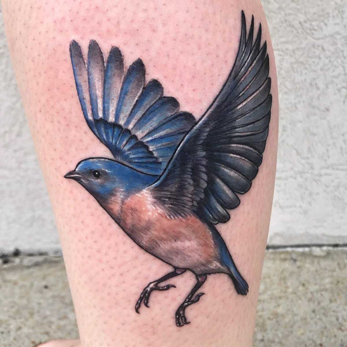 Realistic Bluebird Tattoo angelika_art